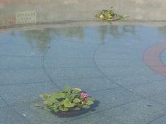 -大连人民广场