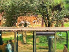 -云南野生动物园