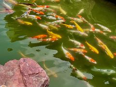 -镇江中国醋文化博物馆