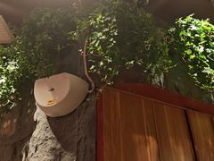 -巴奴毛肚火锅(龙湖锦艺城店)