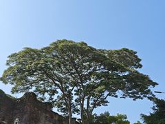 -同利肉燕老铺(澳门路店)