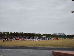 -春花秋色城市公园