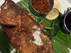 -Aqua Oasis 水天堂(常熟永旺店)