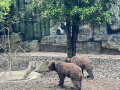 -贵州森林野生动物园