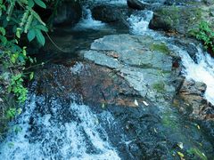 -莫里热带雨林景区