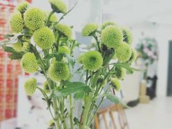 -杨丹国际美学肌研所