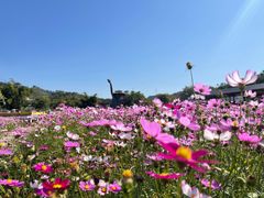 -红山村
