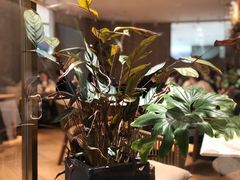 -Bco豆库(星耀天地店)