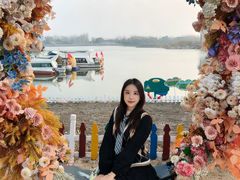 -荷兰花海