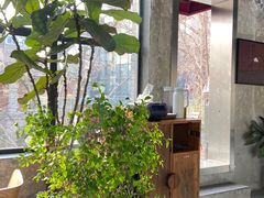 -腾爱熊猫咖啡生活馆(老东门店)