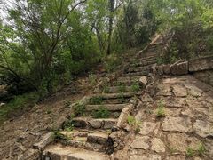 -白水寺森林公园