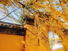 -西园戒幢律寺