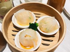-十二粤味·顺德菜·烧鹅点心(五四广场店)