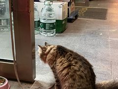 -MUJI无印良品(武汉世界城广场店)