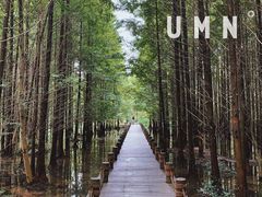 -桤木河湿地公园