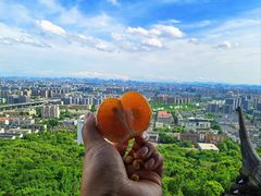 -杭州半山国家森林公园