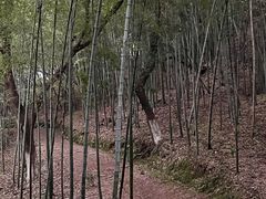 -峙山公园