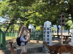 -奈良公园