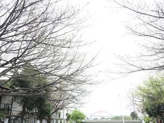 -喜洲吧·江畔老船厂·庭院餐厅(喜临院店)
