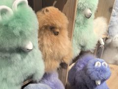 -番茄口袋(上海普陀区环球港店)