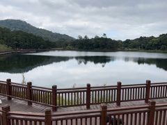 -海南热带雨林国家公园吊罗山景区
