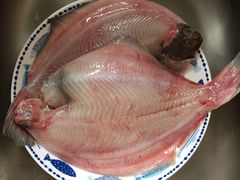 -青岛沙子口国家中心渔港