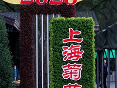 -上海共青森林公园