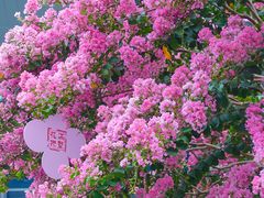 -杭州城北体育公园