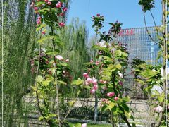 -元大都城垣遗址公园