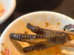 -李子坝梁山鸡(李子坝大鸡哥店)