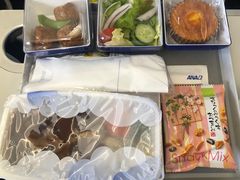 -全日本空输株式会社(上海办事处)