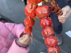 -糖葫芦王保定名吃(古莲花池店)