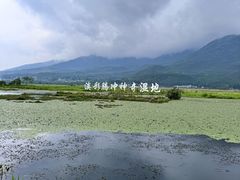 -腾冲北海湿地