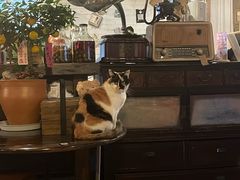 -BUND·FIVE外滩5号(天际店)