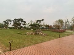 -汉长安城未央宫国家考古遗址公园