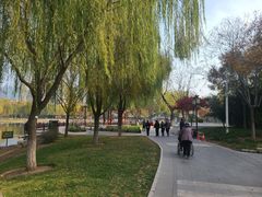 -西海子公园