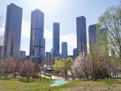 -大望京儿童游乐场