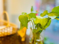 -五观堂素食(新华路店)
