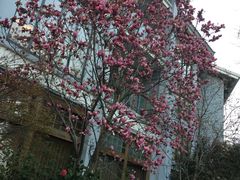 -天目湖御水温泉·度假酒店