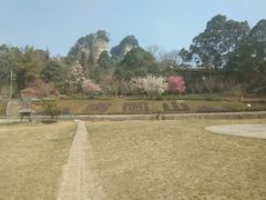 -窦圌山风景区