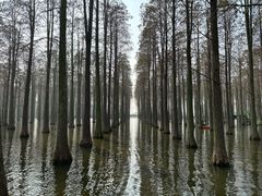-渌洋湖湿地公园