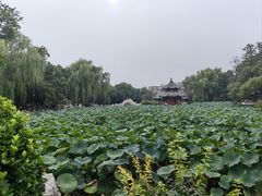 -莲池书院博物馆