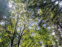 -硗碛藏寨·神木垒景区