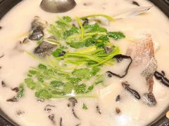 -老淳安—伴山伴湖(千岛湖开元度假村店)