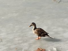 -西安浐灞国家湿地公园