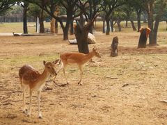 -西安秦岭野生动物园