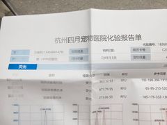 -四月宠物医院·猫专科·心脏专科·内科(转塘店)