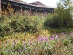 -老爷山风景区