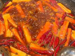 -黄潇洒老火锅(九眼桥宏济巷店)