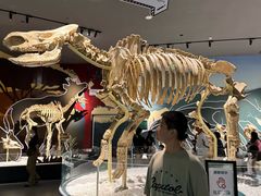 -厦门诚毅自然探索馆
